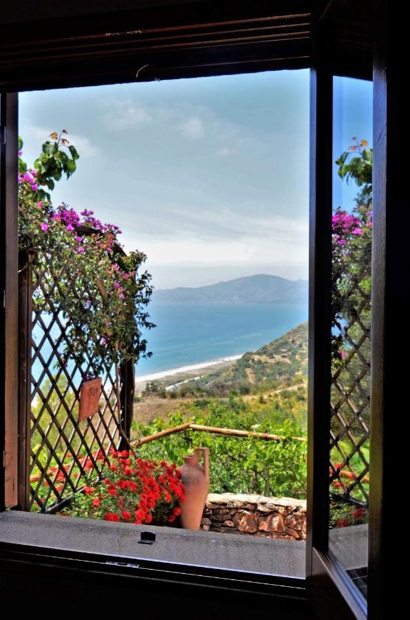 Terrazza Degli Angeli Villa Ascea Exterior photo