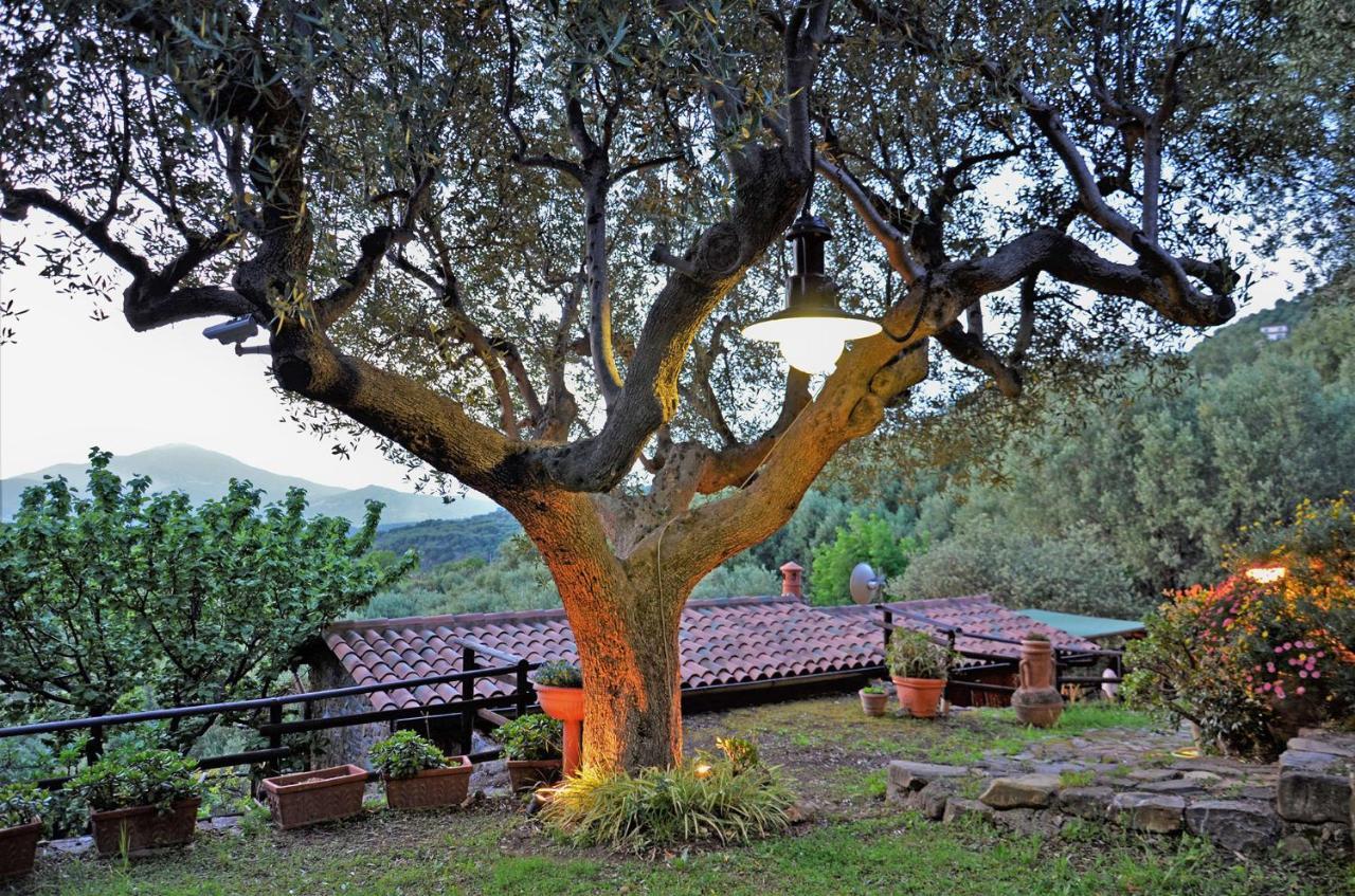 Terrazza Degli Angeli Villa Ascea Exterior photo